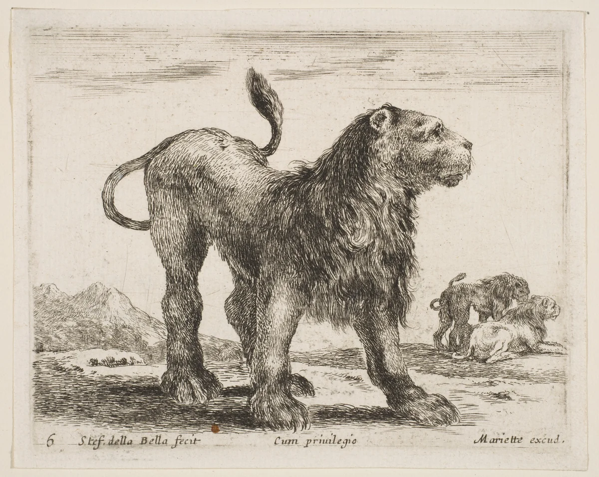 Lion, plate 6 from "Various Animals" (Diversi Animali) by Stefano della Bella, print, 1636-1646