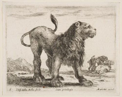 Lion, plate 6 from "Various Animals" (Diversi Animali) by Stefano della Bella, print, 1636-1646