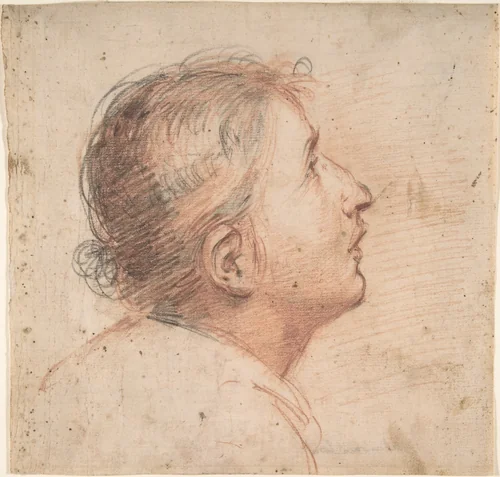 Youth Gazing Upwards in Profile by Francesco Montelatici, drawing, 1607-1661