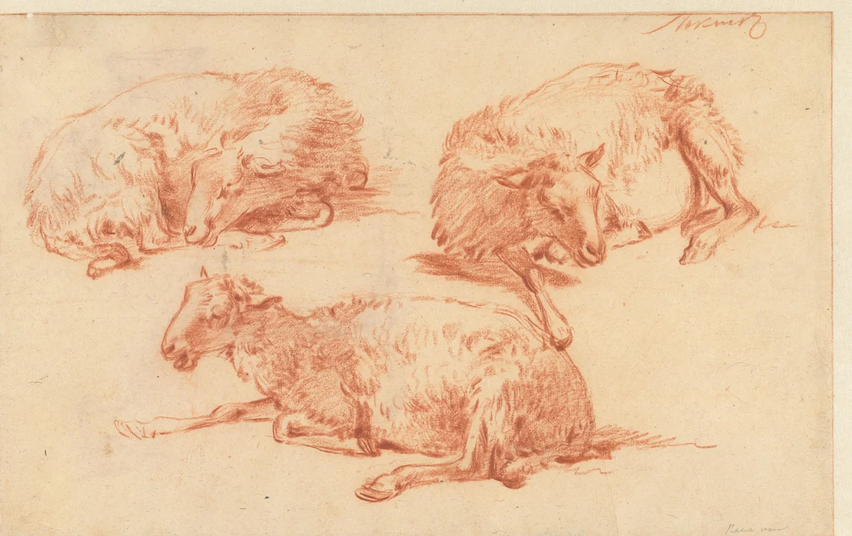 Studies van een liggend schaap by M. Stokvis, drawing, 1700-1800
