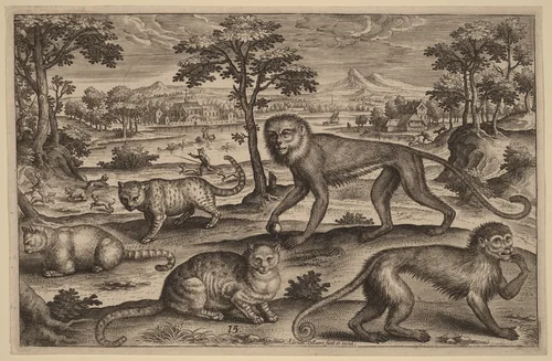 Three Cats and Two Monkeys by Adriaen Collaert, print, 1592-1602