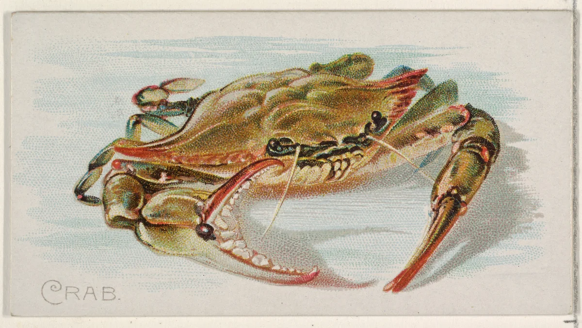 Crab, from the Fish from American Waters series (N8) for Allen & Ginter Cigarettes Brands by Allen & Ginter, print, 1889