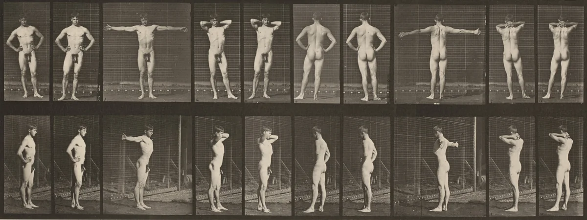 Plate Number 529. Various poses by Eadweard Muybridge, photograph, 1887