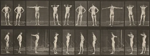 Plate Number 529. Various poses by Eadweard Muybridge, photograph, 1887