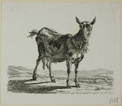Standing Goat, from Die Zweite Thierfolge by Johann Christian Reinhart, print, 1800