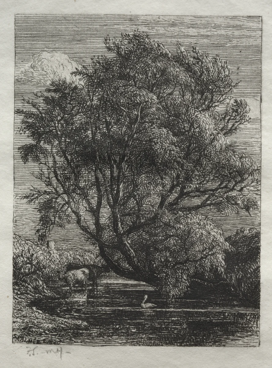 The Willow by Samuel Palmer, print, 1850