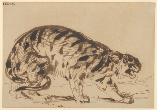 Crouching Tiger by Eugène Delacroix, drawing, 1839
