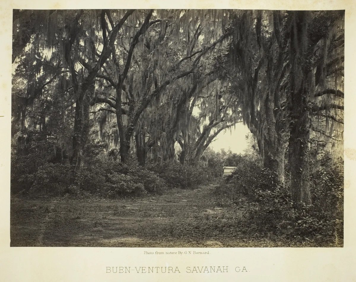 Buen-Ventura Savannah, Ga. by George Barnard, photograph, 1866