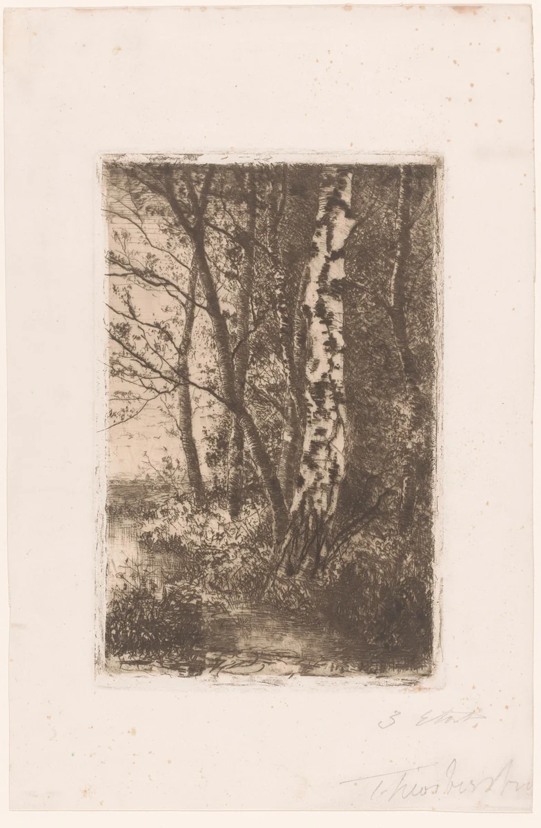 Landschap met berk bij Brasschaat by Theodoor Verstraete, print, 1860-1907