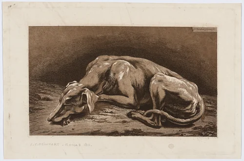 Sleeping Greyhound by Johann Christian Reinhart, print, 1811