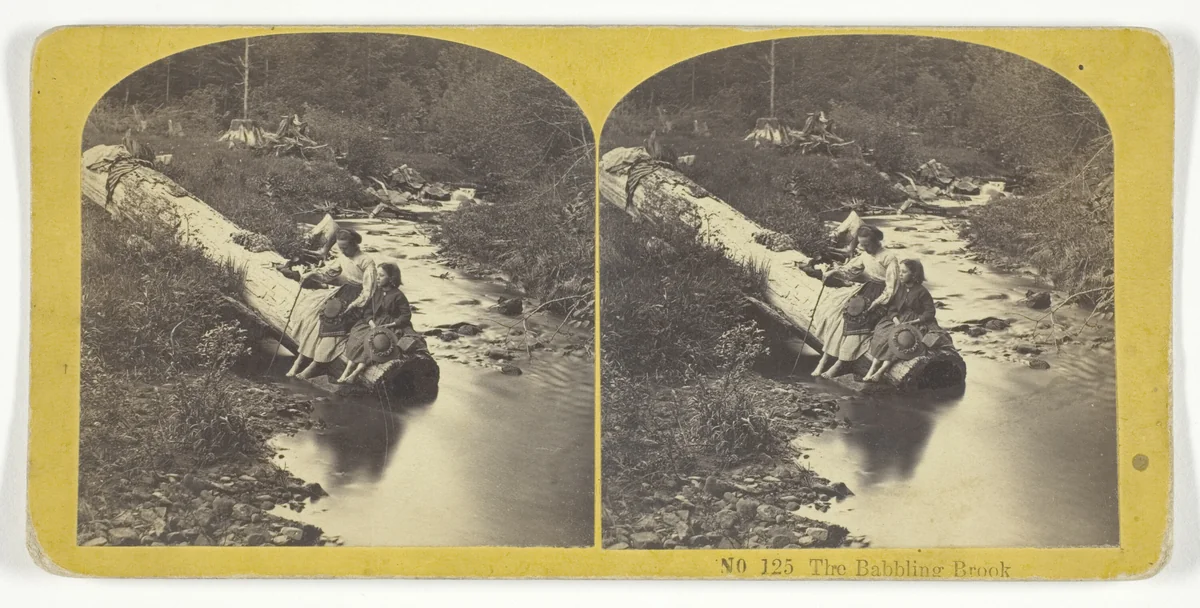 The Babbling Brook by Kilburn Brothers, photograph, 1855-1875