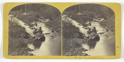 The Babbling Brook by Kilburn Brothers, photograph, 1855-1875