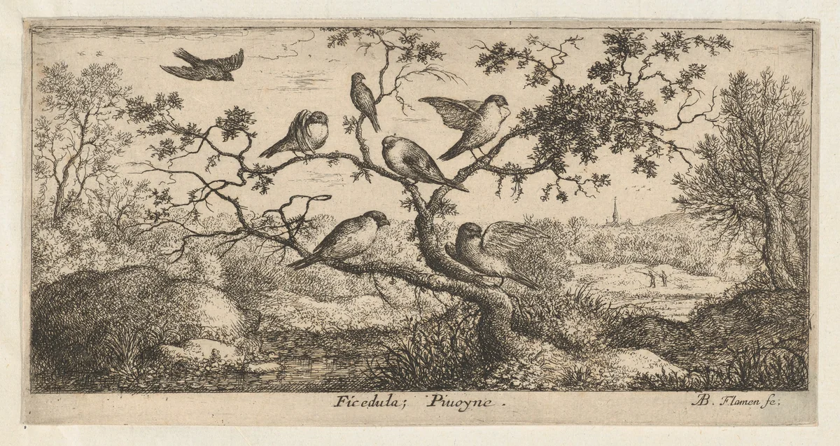 Ficedula, Piuoyne (The Bullfinch), from "Livre d'Oyseaux" (Book of Birds) by Albert Flamen, print, 1650-1665