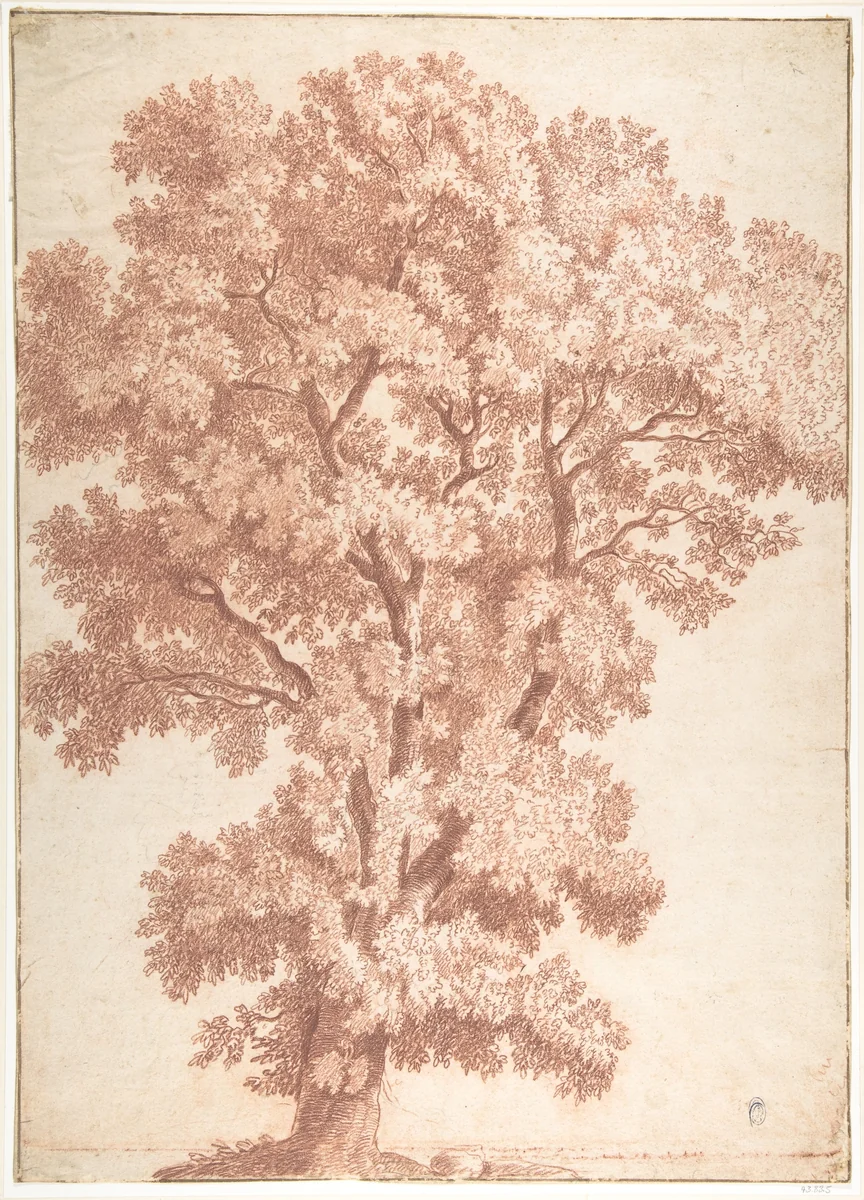 Tree by anonymous, drawing, 1600-1700