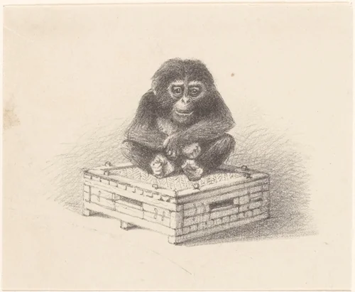 Zittende aap op kist by Theo van Hoytema, print, 1878-1890
