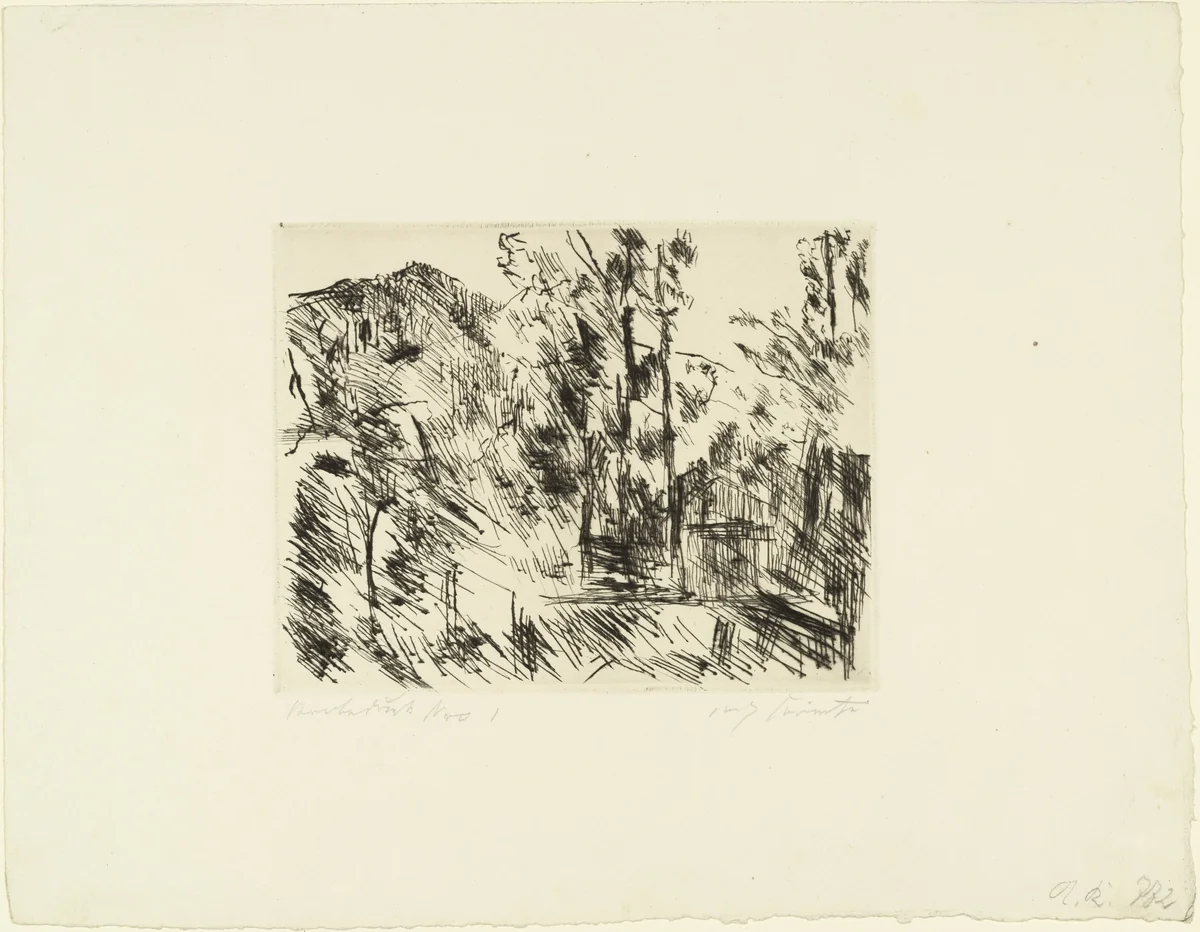 Terrace with Karwendel Mountains (Terrasse mit Karwendelgebirge) for the series The Walchensee (small) [Der Walchensee (klein)] by Lovis Corinth, print, 1923