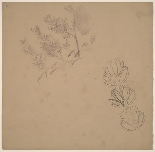 Study for a Border Design with a Sketch of a Tree by Charles Sprague Pearce, drawing, 1890-1897