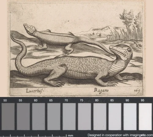 Twee hagedissen by Antonio Tempesta, print, 1565-1630