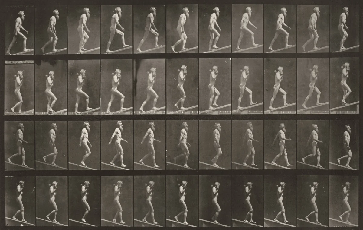 Plate Number 489. A: Ascending incline. B: Ascending incline with a 50-lb. dumbbell. C: Descending incline. D: Descending incline with a 50-lb. dumbbell by Eadweard Muybridge, photograph, 1887