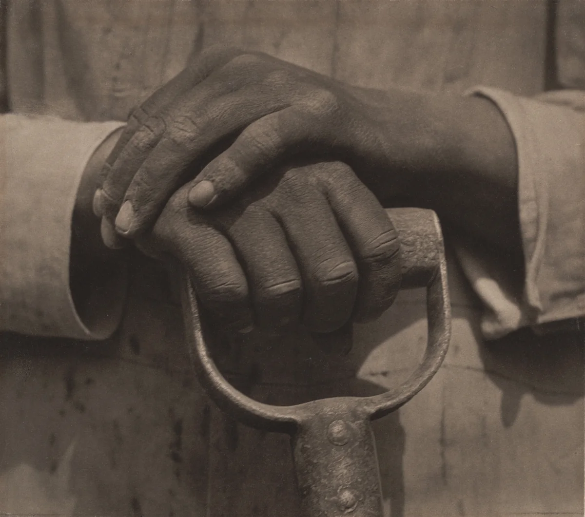 Worker's Hands by Tina Modotti, photograph, 1927