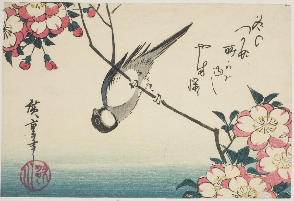 Great tit on cherry blossom branch by Utagawa Hiroshige (歌川広重), print, 1830-1839
