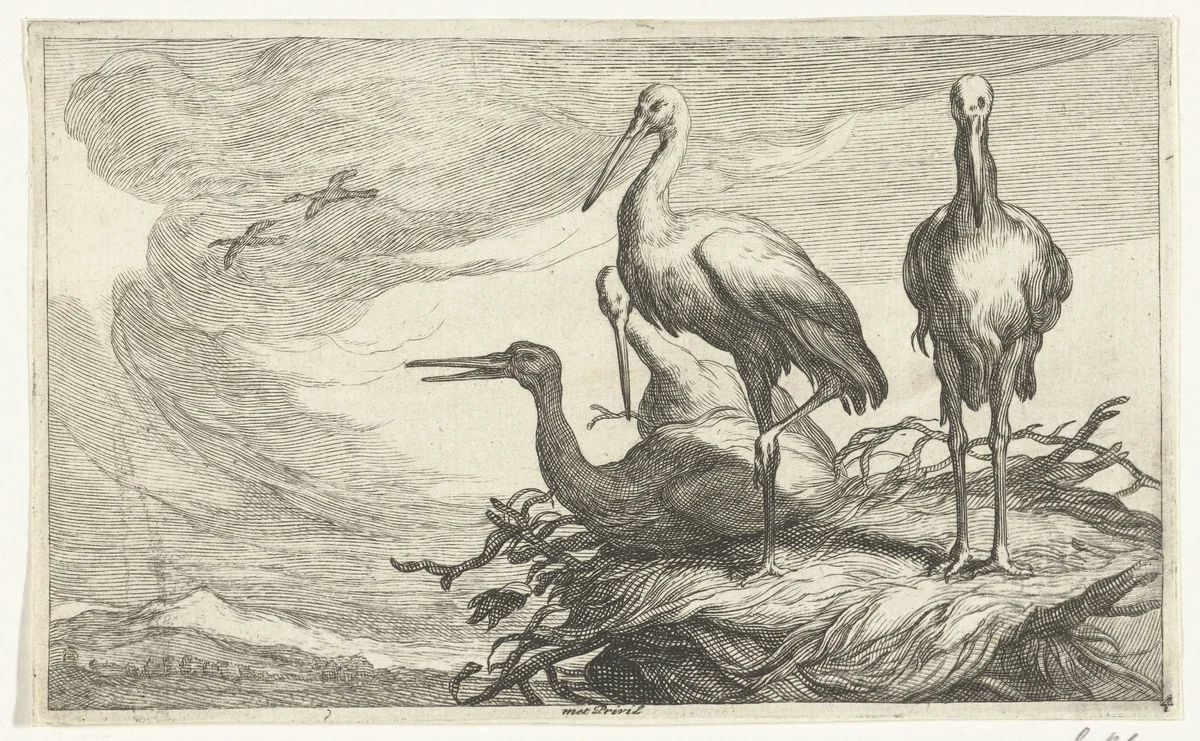 Ooievaars in een nest by Frederick Bloemaert, print, 1635-1670