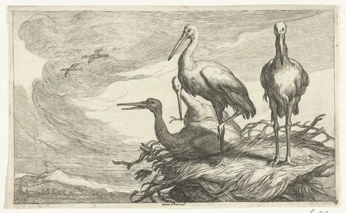 Ooievaars in een nest by Frederick Bloemaert, print, 1635-1670