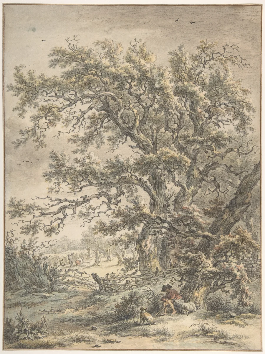 A Man Resting Under a Tree by Egbert van Drielst, drawing, 1755-1818