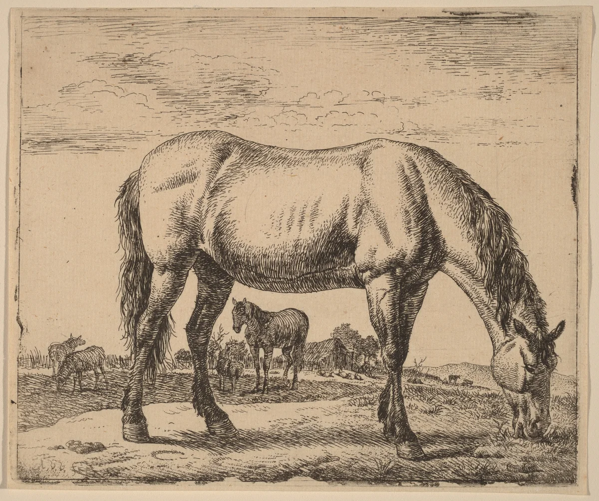 Grazing Horse by Adriaen van de Velde, print, 1657-1659