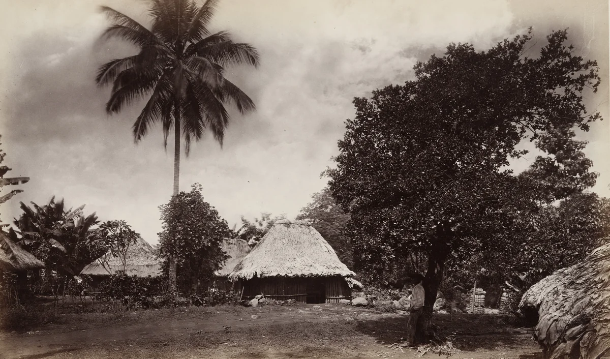 Suburb of Mazatenango by Eadweard Muybridge, photograph, 1875