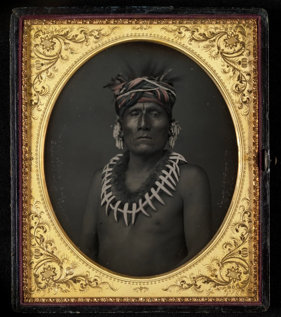 Kno-Shr, Kansas Chief by John H. Fitzgibbon, photograph, 1853