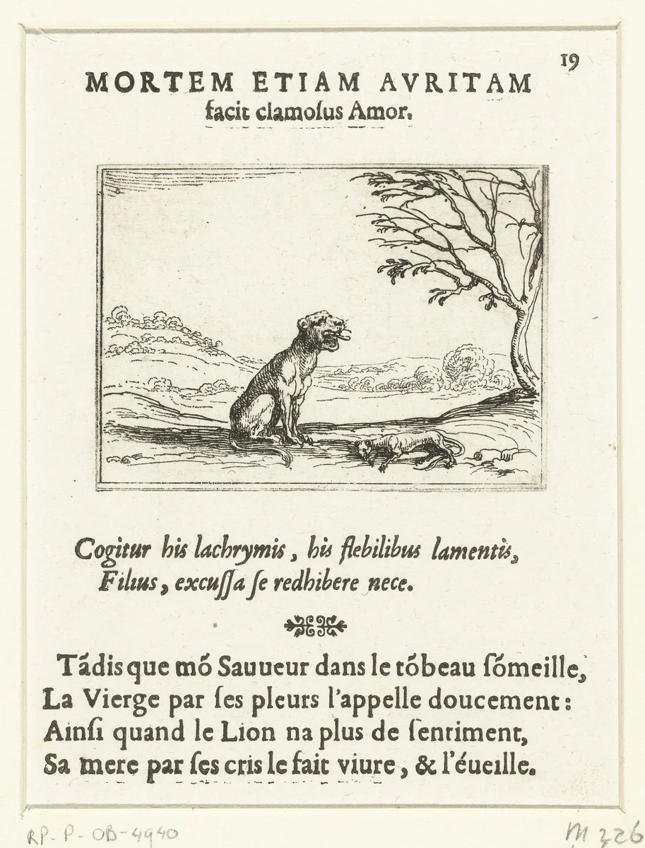 Een leeuwin brult bij haar levenloze welp by Jacques Callot, print, 1625-1629
