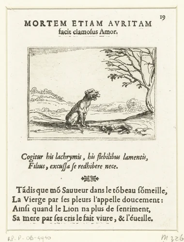 Een leeuwin brult bij haar levenloze welp by Jacques Callot, print, 1625-1629