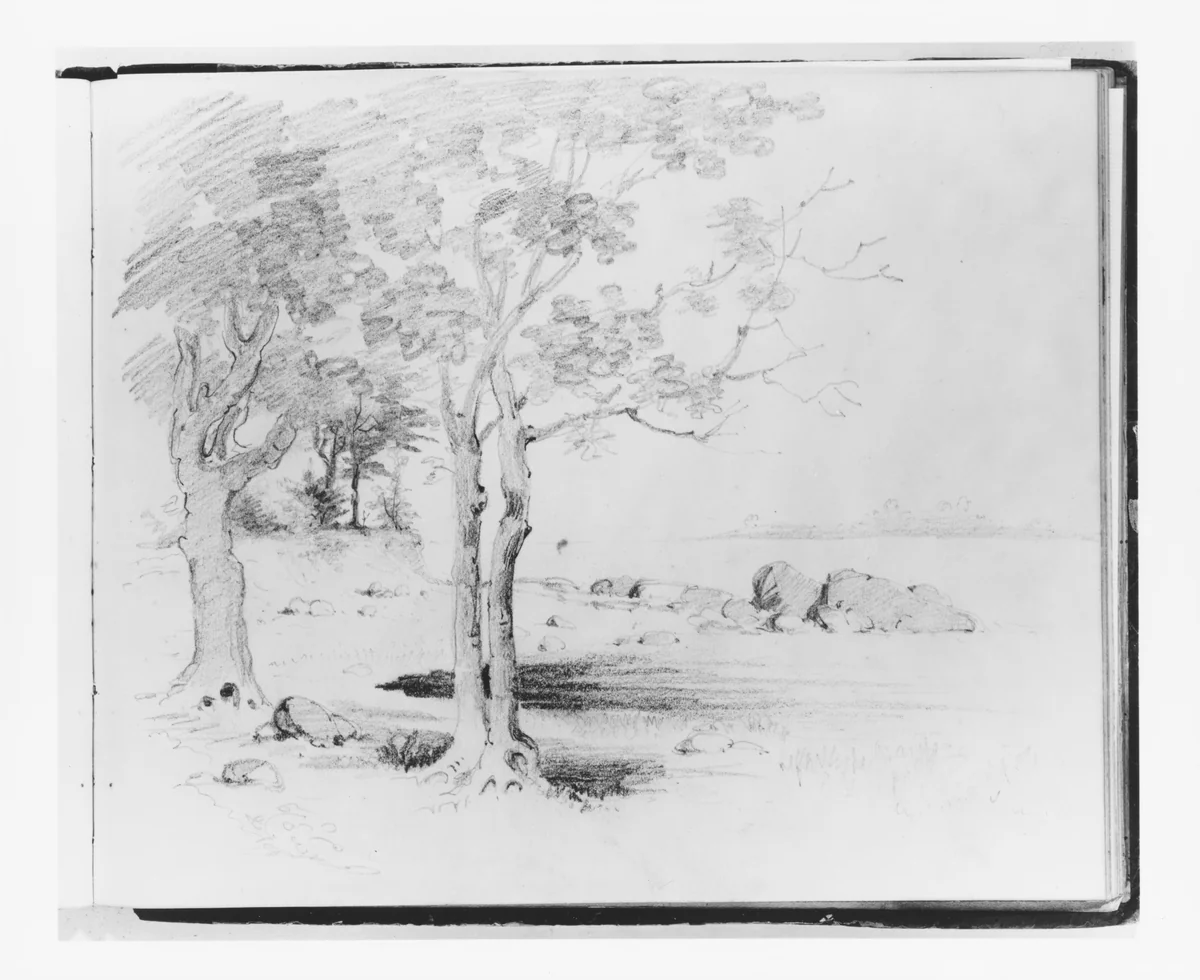 Landscape with Foreground Trees (from Sketchbook) by Francis William Edmonds, artwork, 1835-1839