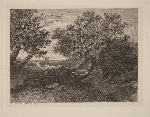 Stream with Overhanging Trees by Alexandre Calame, portfolio, 1838-1850