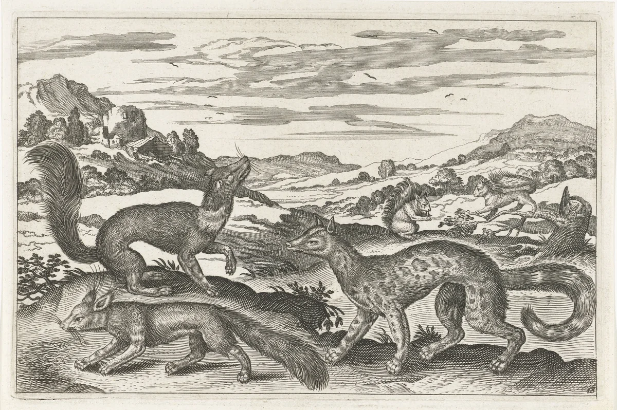 Marters, eekhoorns en een vos by anonymous, print, 1628-1679