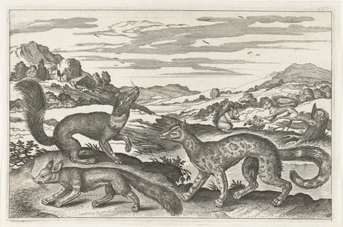 Marters, eekhoorns en een vos by anonymous, print, 1628-1679