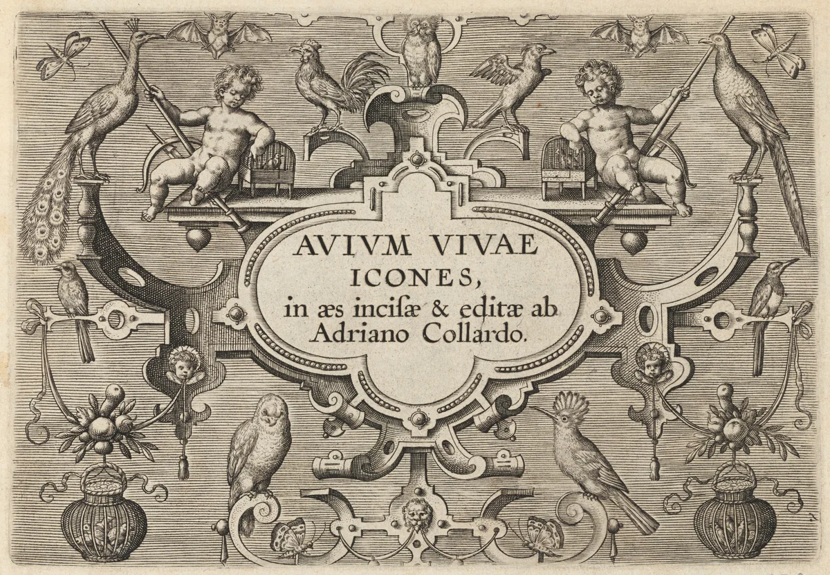 Title Page by Adriaen Collaert, print, 1595-1605