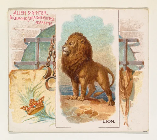 Lion, from Quadrupeds series (N41) for Allen & Ginter Cigarettes by Allen & Ginter, print, 1890