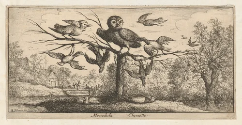 Monedula, Chouëtte (The Owl), from "Livre d'Oyseaux" (Book of Birds) by Albert Flamen, print, 1650-1665