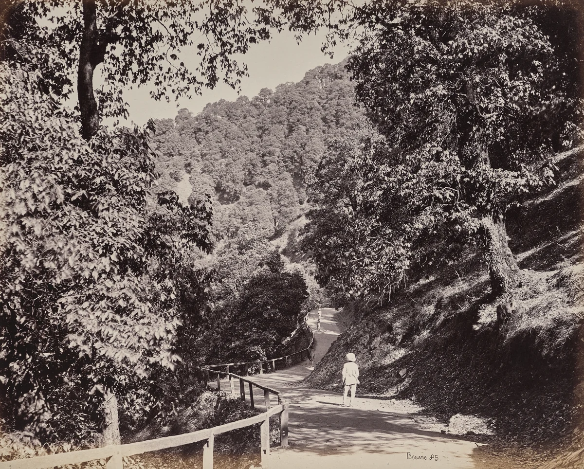Shimla. The Mall near Rabq Lodge by Samuel Bourne, photograph, 1863-1870
