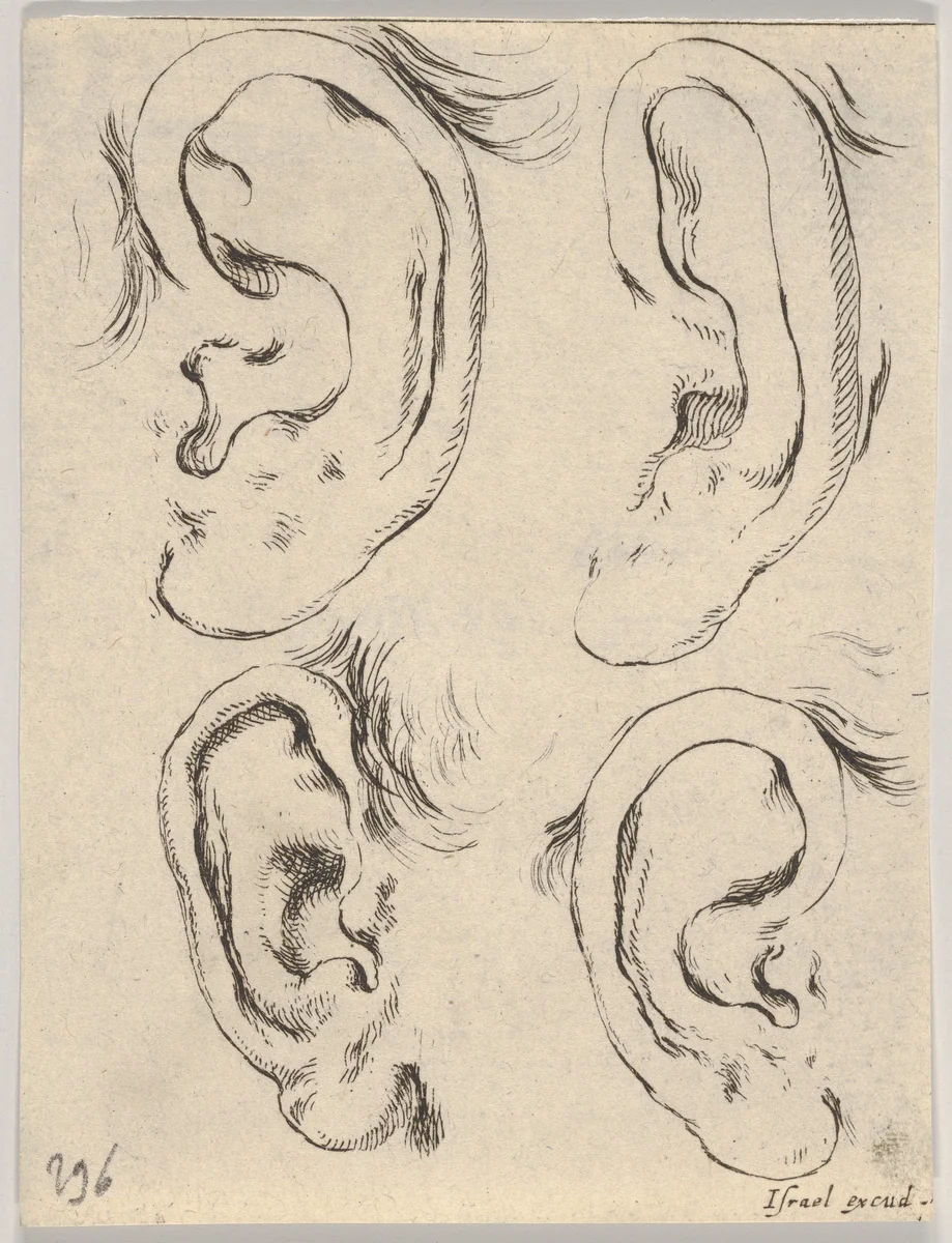 Plate 5: Four ears, from "The Book for Learning to Draw" (Livre pour apprendre à dessiner) by Stefano della Bella, print, 1647-1652