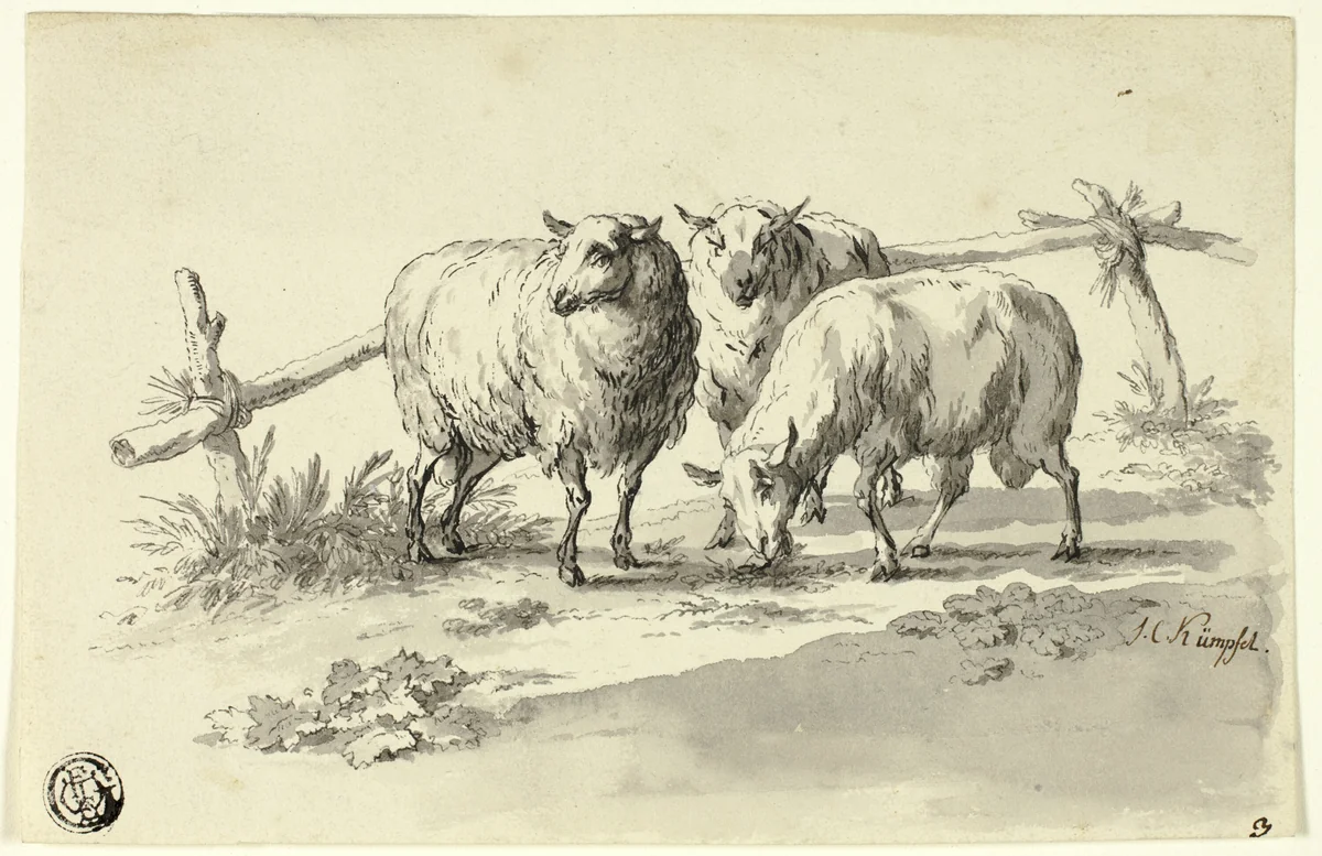 Sheep by Johann Christoph Kimpfel, drawing, 1770-1805