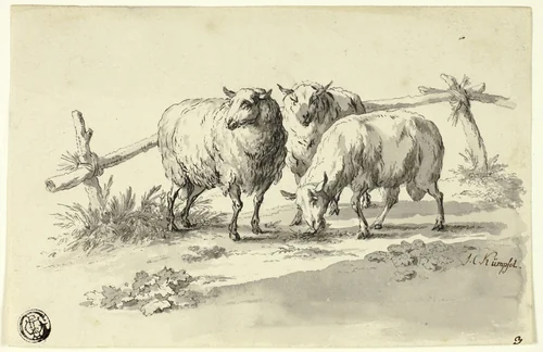 Sheep by Johann Christoph Kimpfel, drawing, 1770-1805