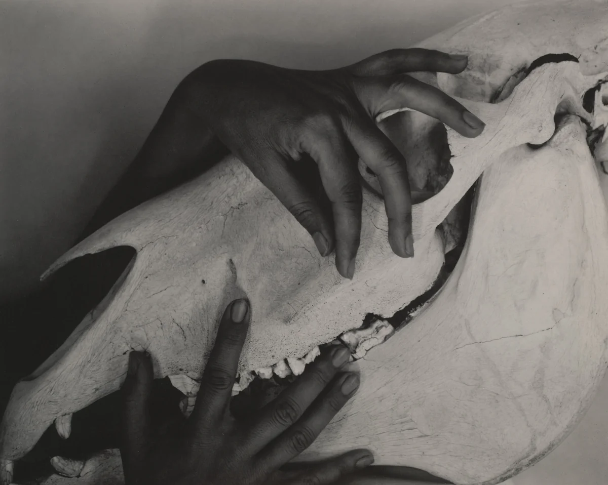 Georgia O'Keeffe - Hands and Horse Skull by Alfred Stieglitz, photograph, 1931