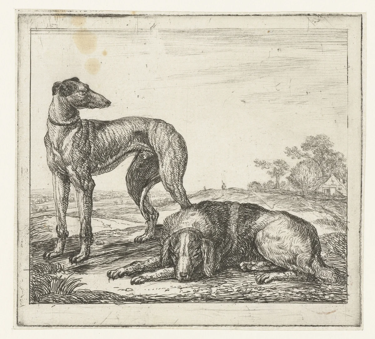 Hazewindhond en jachthond by Simon de Vlieger, print, 1610-1653