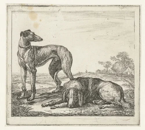 Hazewindhond en jachthond by Simon de Vlieger, print, 1610-1653