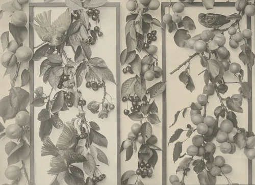 Page from Festons und Dekorative Gruppen by Unidentified Photographer, photograph, 1893