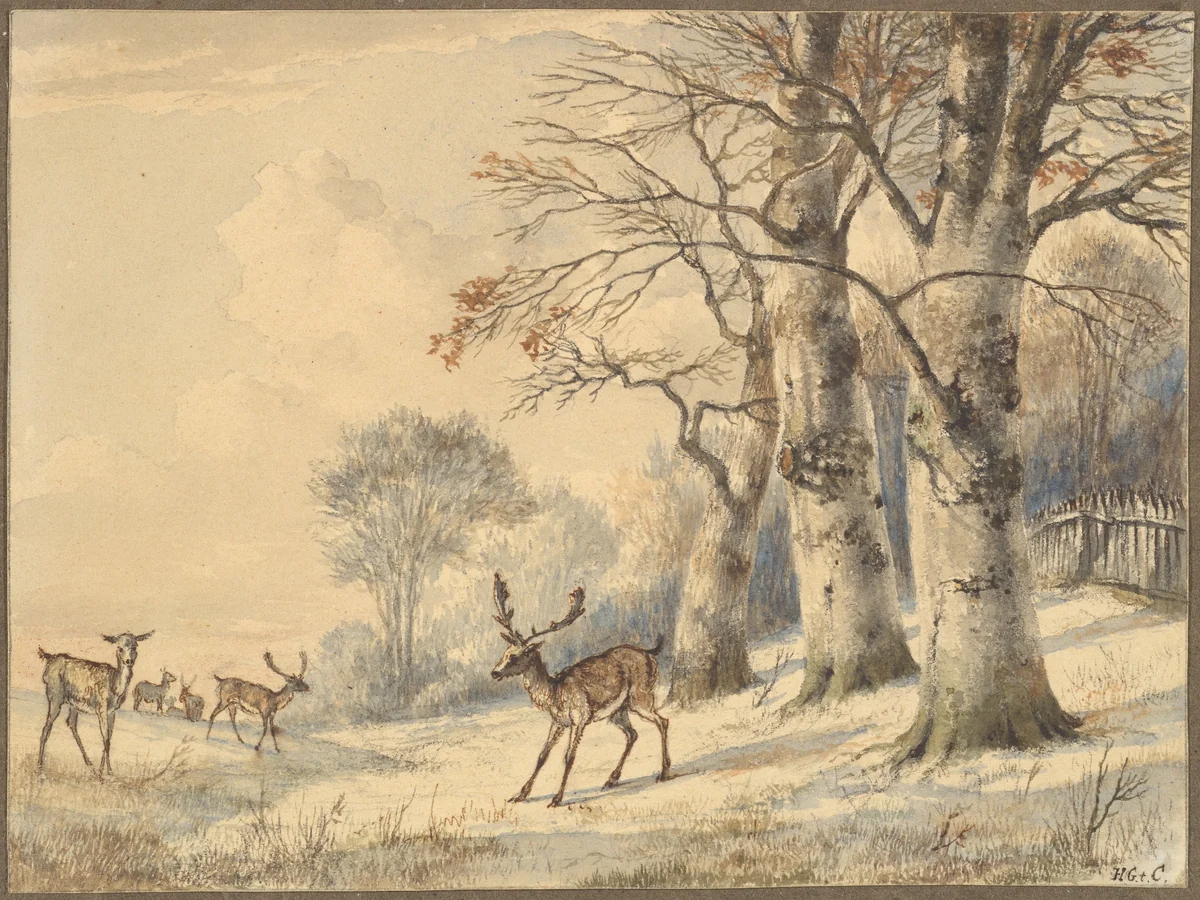 Deer under Beech Trees in Summer by Hendrik Gerrit ten Cate, drawing, 1853