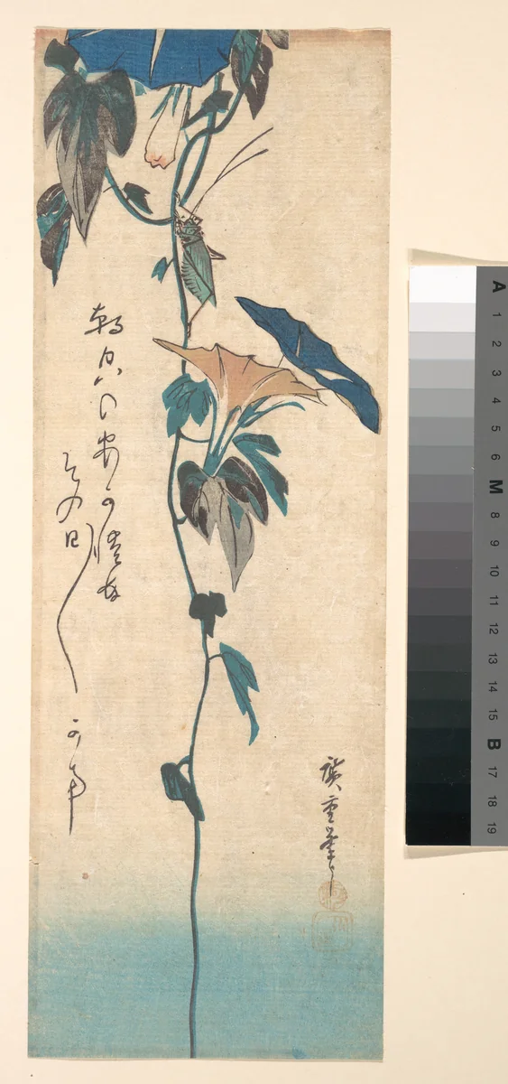 Grasshopper and Morning-glory Vine by Utagawa Hiroshige (歌川広重), print, 1825-1845